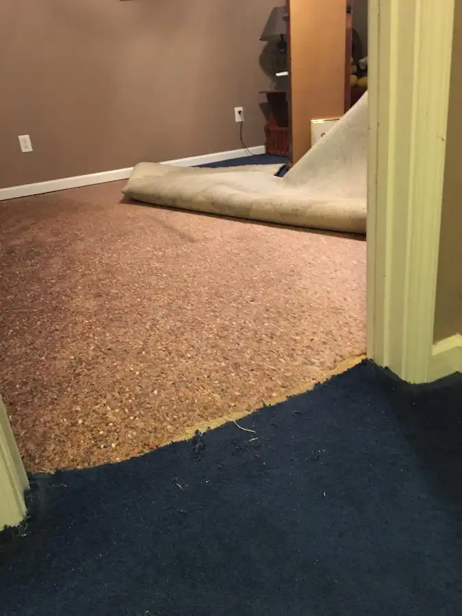 Carpet pad removal revealing water damage during Water Mitigation Services in East Norriton