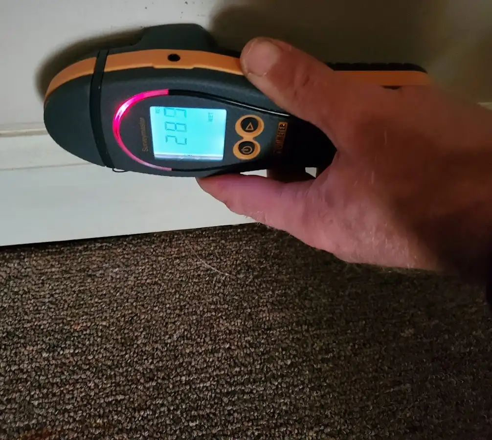 Moisture detection at baseboard during Sewage Cleanup & Sanitation in East Norriton